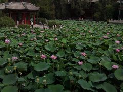 -莲池书院博物馆