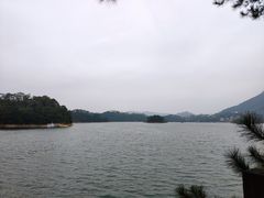 -广州市流溪河国家森林公园