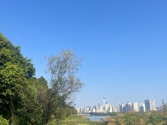 -南宁南湖公园