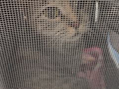 -北京观赏动物医院·24小时大型综合·猫专科·异宠专科
