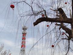 -羊亭河湿地公园