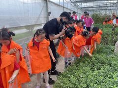 -上海市白玉兰幼儿园