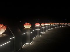-三亚游船旅游中心(三亚鹿回头游艇游船公共码头店)