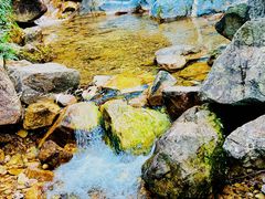 -南海湾森林生态园