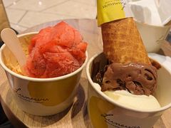 -LUNEURS月乐诗·法式冰淇淋(环贸店)