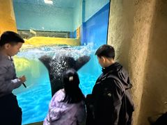 -大连圣亚海洋世界