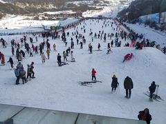 -太子岭滑雪场