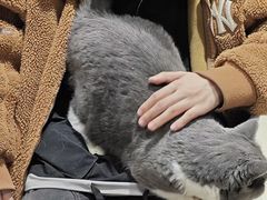 -藏猫猫咖啡主题馆(中央大道店)