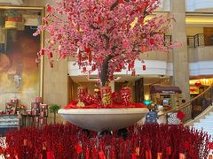 -成都天府丽都喜来登饭店