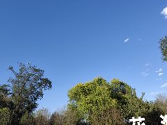 -君乐宝优致牧场