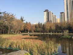 -木塔寺遗址生态公园