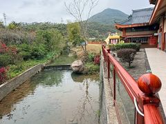 -十万大山布透温泉