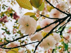 -荆州中山公园动物园