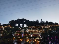 -枇杷园食为鲜火锅(南山店)