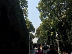 -上海九天陵园-停车场