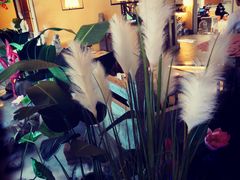 -十二饭点·川菜(北站圆融店)