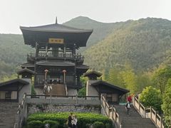 -大唐贡茶院