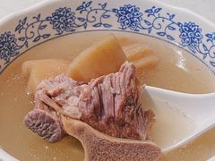 例汤-裕.鹅庄