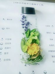 -茱莉蔻