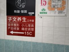 -有喵·猫咖·狗咖·30几只猫10只小狗(岗厦店)