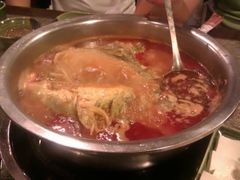 酸汤鱼-芦苇荡·酸汤鱼(回龙观店)