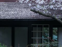 -中国茶叶博物馆(双峰馆区)