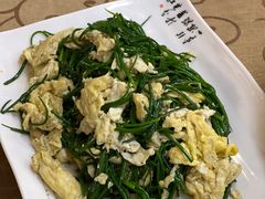 -靖远尕六美味羊羔肉