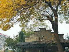 -天津市南开中学滨海生态城学校