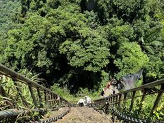 -七仙岭温泉国家森林公园