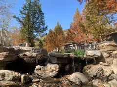 -白水寺森林公园