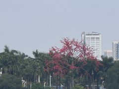 -南宁南湖公园