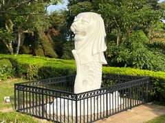 -花柏山公园