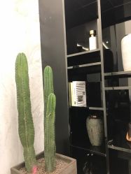 -INSTYLE造型·明星店