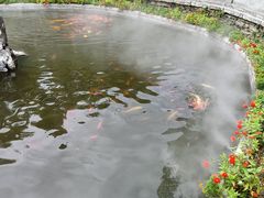 -宝通禅寺