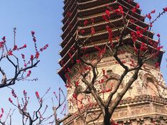-玲珑塔公园