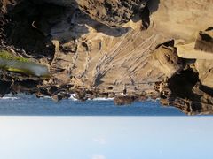 iphone_upload_pic-龙坑生态保护区