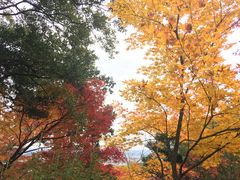 -常寂光寺