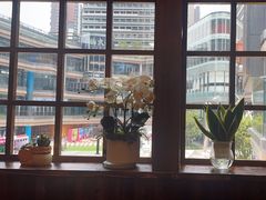 -鸟鹏烧鸟居酒屋(仁恒梦中心店)