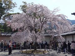 -醍醐寺