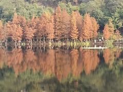 -重庆彩云湖湿地公园