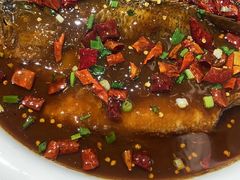 -蝎菜杨·牛肉面 羊蝎子火锅(光熙门北里店)