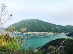 -南丫岛