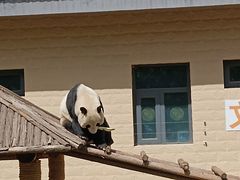 -石家庄市动物园