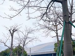 -招商蛇口邮轮母港(观光客运)