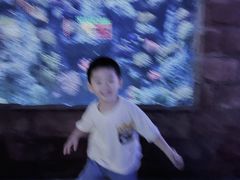 -左海海底世界