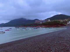 -东河市场