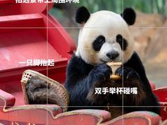 -广州长隆野生动物世界