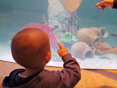 -沈阳海洋探索中心