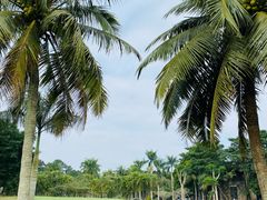 -海口观澜湖火山温泉谷