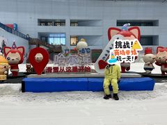 -哈尔滨热雪奇迹